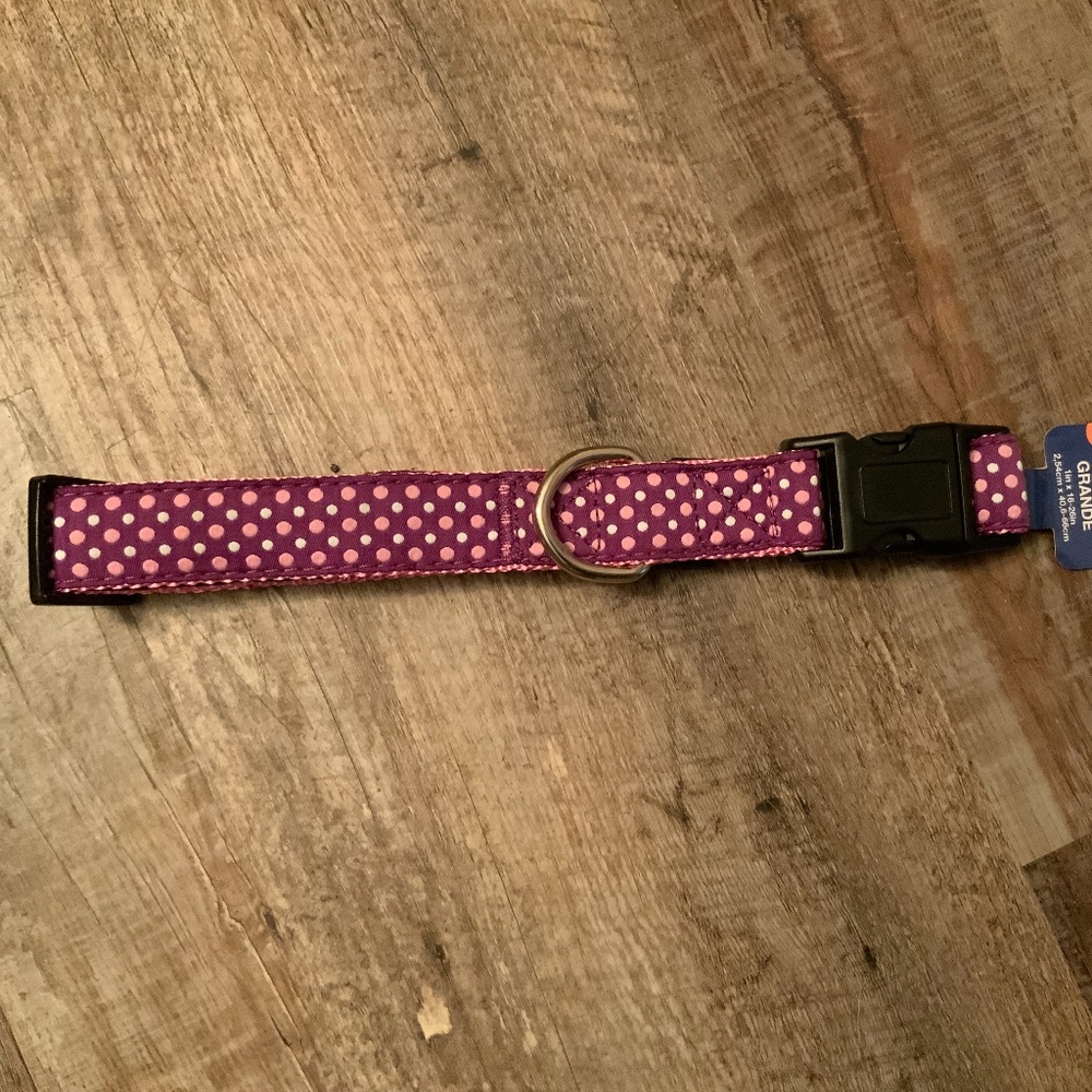 Petmate Mix&Match Dog Collar (1”x 16-26”)